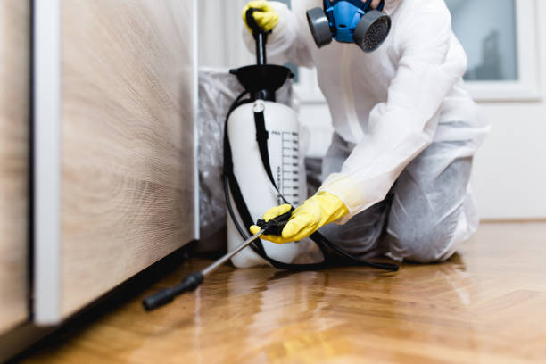 Professional Pest Control in Horatio, AR
