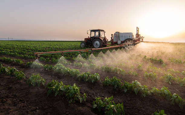 Pest Prevention Services in Horatio, AR