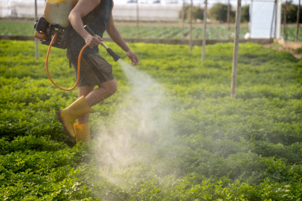 Best Commercial Pest Control Services  in Horatio, AR