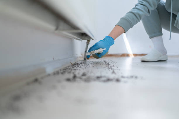 Best Pest Prevention Services  in Horatio, AR